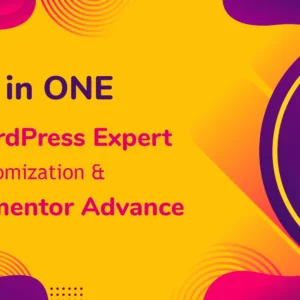 All in One WordPress Course